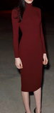 RED WINE TURTLENECK BACK ZIP DRESS