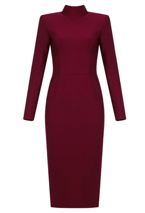 RED WINE TURTLENECK BACK ZIP DRESS